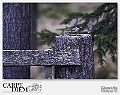 034-1620 x 1080---Giancarlo_0 29